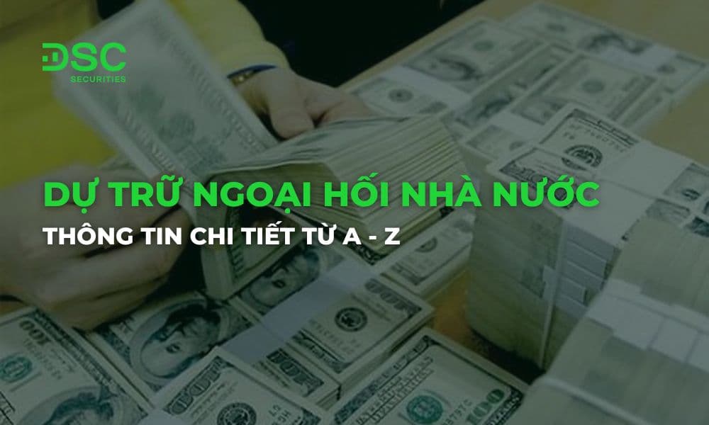 Dự trữ ngoại hối nhà nước là gì? Thông tin chi tiết từ A - Z