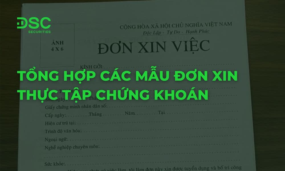 Tổng hợp các mẫu đơn xin thực tập chứng khoán phổ biến nhất