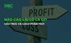 Báo cáo lãi lỗ là gì? Cấu trúc và cách phân tích cho F0