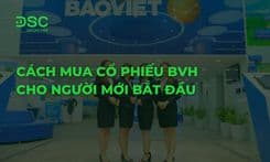 Cách mua cổ phiếu BVH cho người mới bắt đầu