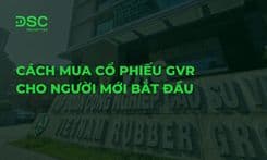 Cách mua cổ phiếu GVR cho người mới bắt đầu