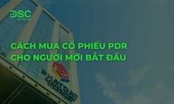 Cách mua cổ phiếu PDR cho người mới bắt đầu