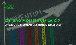Chỉ báo Momentum là gì? Ứng dụng Momentum trong giao dịch