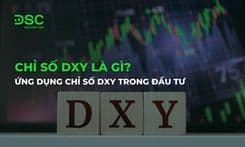 Chỉ số DXY là gì? Ứng dụng chỉ số DXY trong đầu tư chứng khoán