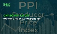Chỉ số PPI là gì? Vai trò, ý nghĩa và tác động PPI đến nền kinh tế
