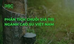 Phân tích chuỗi giá trị ngành Cao Su Việt Nam