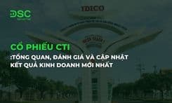 Cổ phiếu CTI: Tổng quan, đánh giá và cập nhật kết quả kinh doanh mới nhất
