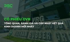 Cổ phiếu GVR: Tổng quan, đánh giá và cập nhật kết quả kinh doanh mới nhất
