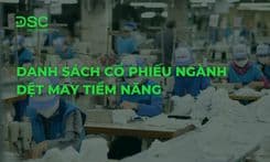 Danh sách cổ phiếu ngành dệt may tiềm năng