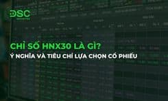 Chỉ số HNX30 là gì? Ý nghĩa và tiêu chí lựa chọn cổ phiếu