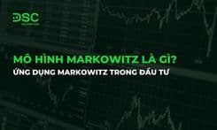 Mô hình Markowitz là gì? Ứng Dụng Markowitz trong đầu tư