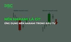 Nến Harami là gì? Ứng dụng nên Harami trong đầu tư