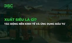 Xuất siêu là gì? Tác động nền kinh tế và ứng dụng đầu tư